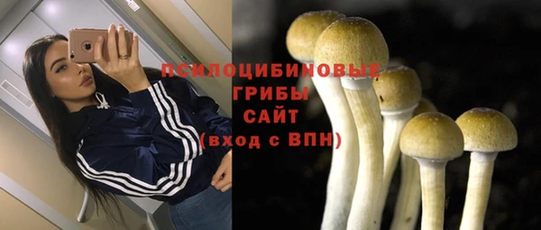 наркотики Новодвинск
