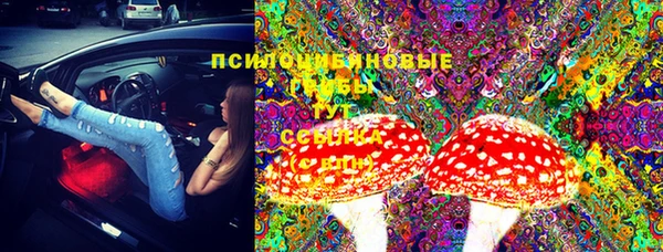 гидропоника Новокубанск