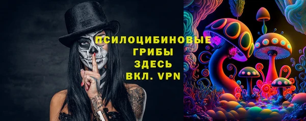 мдма Новозыбков