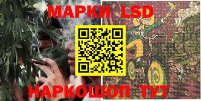 СК Ирбит