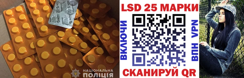 наркотики  Петровск  Лсд 25 экстази ecstasy 