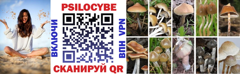 Псилоцибиновые грибы MAGIC MUSHROOMS Петровск