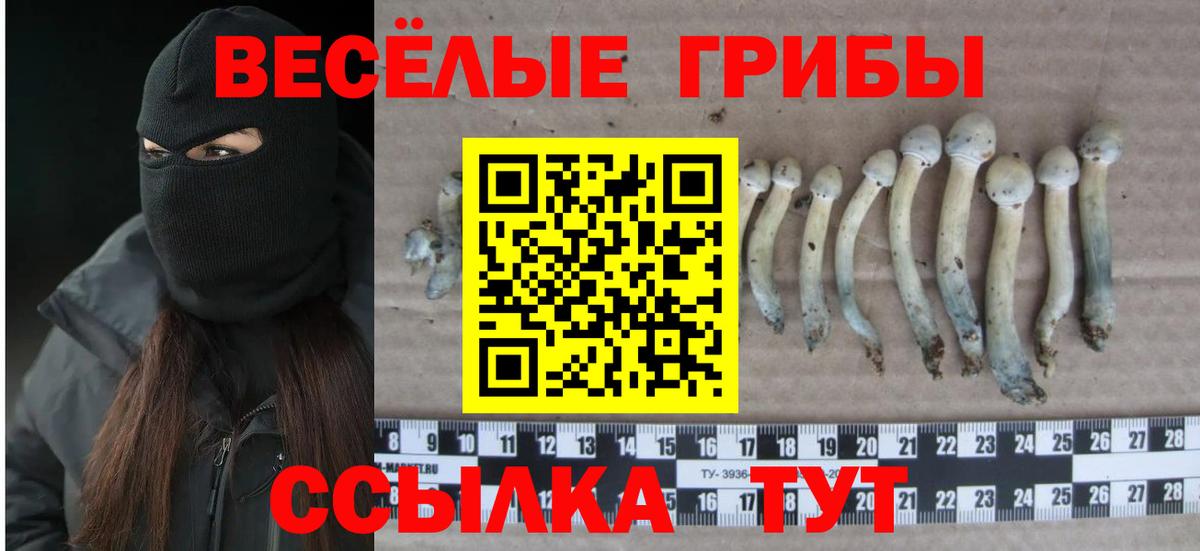 Петровск  Псилоцибиновые грибы мицелий  Галлюциногенные грибы GOLDEN TEACHER  Вход с VPN 