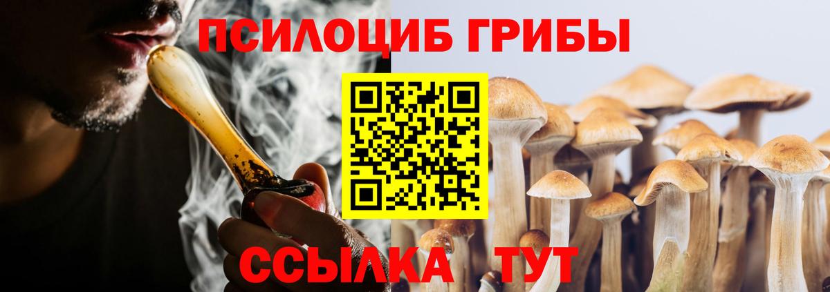 Галлюциногенные грибы Cubensis Петровск