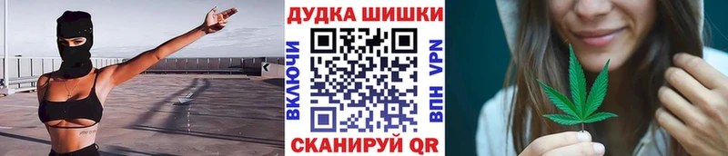 наркотики  Петровск  МАРИХУАНА семена 