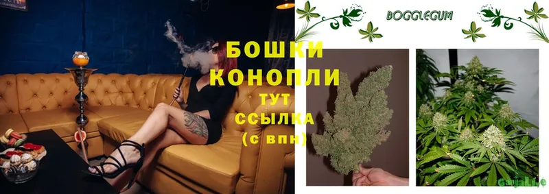 Марихуана SATIVA & INDICA  Петровск 