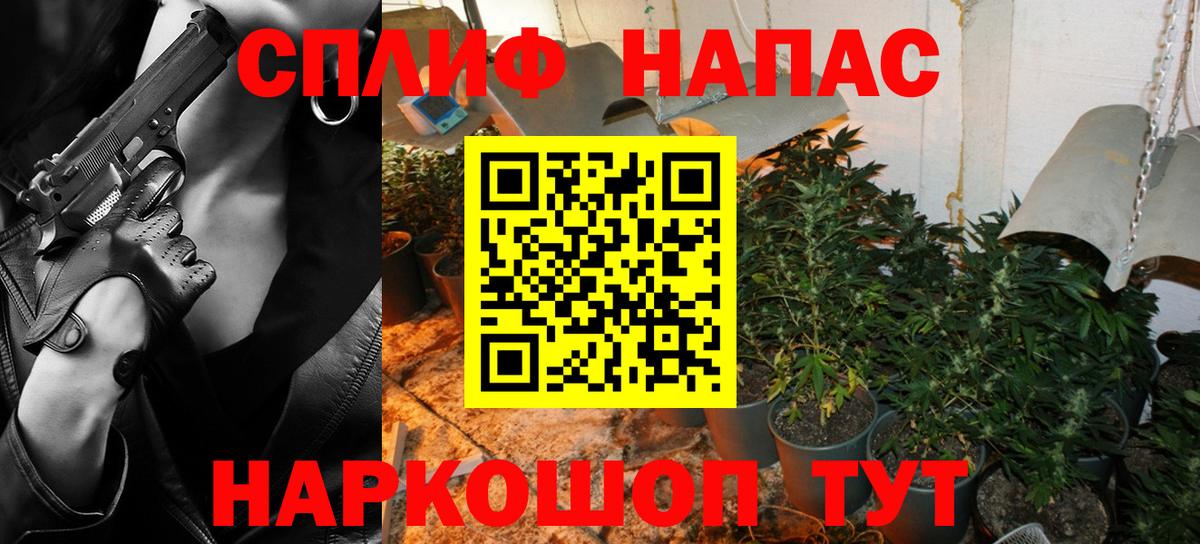 Бошки Шишки Amnesia Петровск